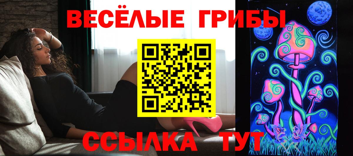 Псилоцибиновые грибы мицелий Егорьевск