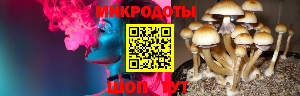 Галлюциногенные грибы прущие грибы  Псилоцибиновые грибы ЛСД  Вход с VPN  Егорьевск 