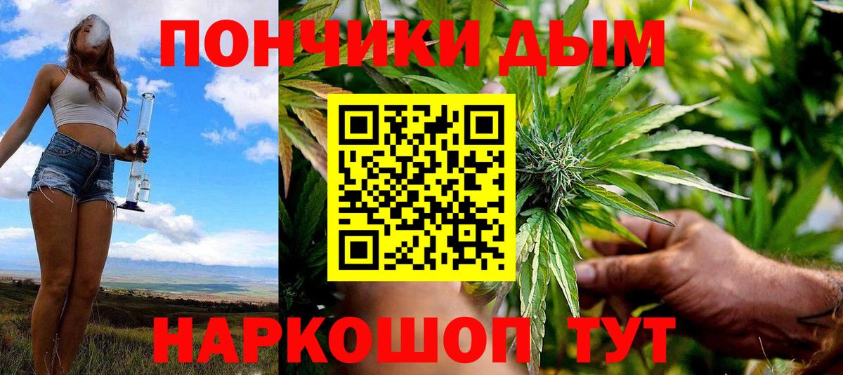 Егорьевск  Бошки марихуана индика  Конопля индика  Вход с VPN 